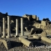 temple_habu_lux_h_0174_egy2431.jpg
